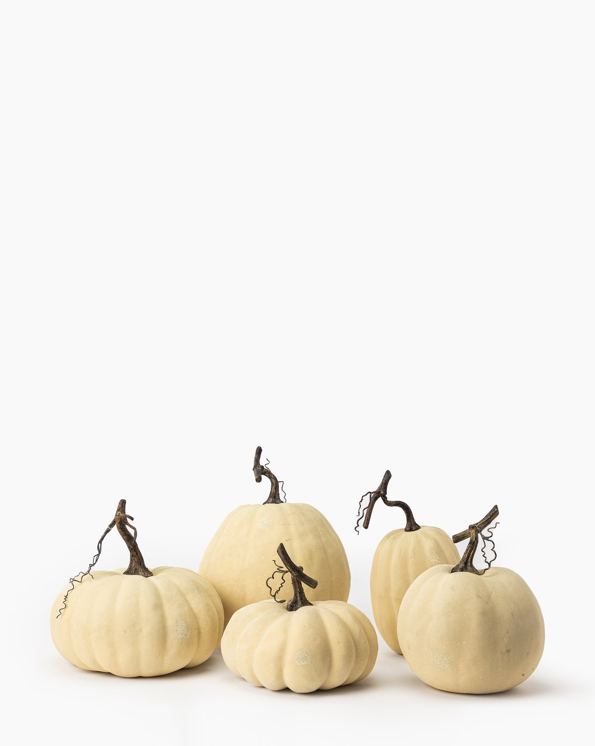 Park Hill Collection, Ivory Pumpkin Collection